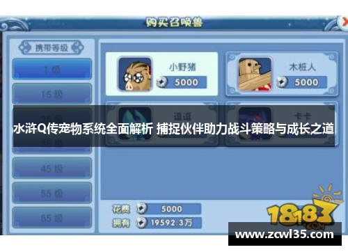 水浒Q传宠物系统全面解析 捕捉伙伴助力战斗策略与成长之道